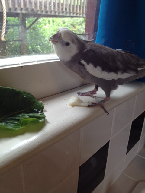 Well, well. What have we here?