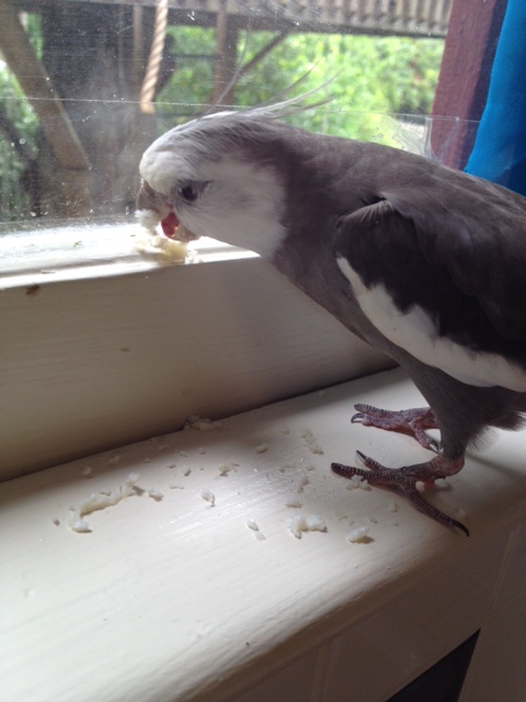 See? What did I tell you? It is a HIGH LEDGE.