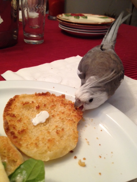 What do you mean you don't feel like being stalked today?