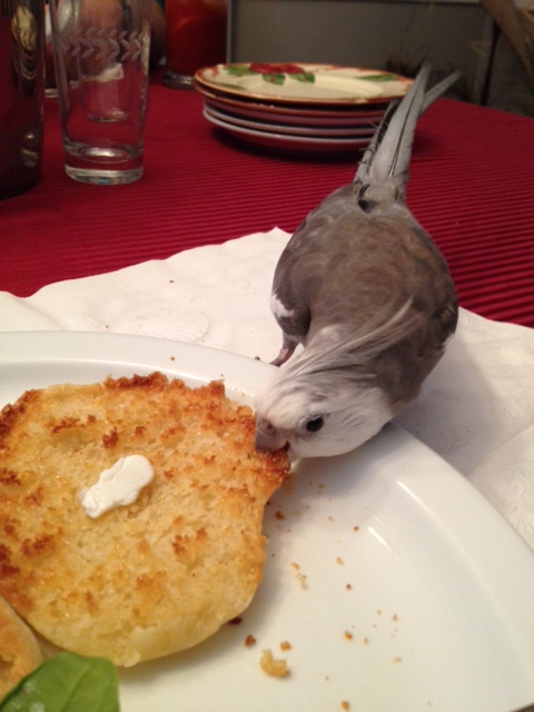 That wasn't stalked - I'll show you stalked.