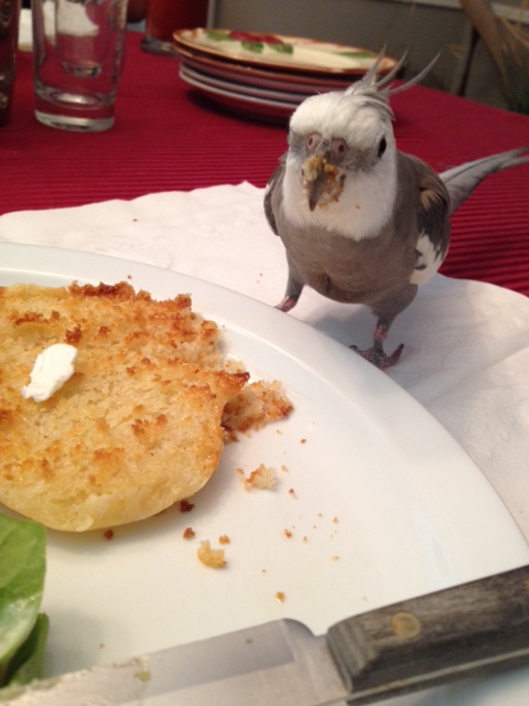 Sorry, Mom - I'll try to choose a less feisty lunch next time.