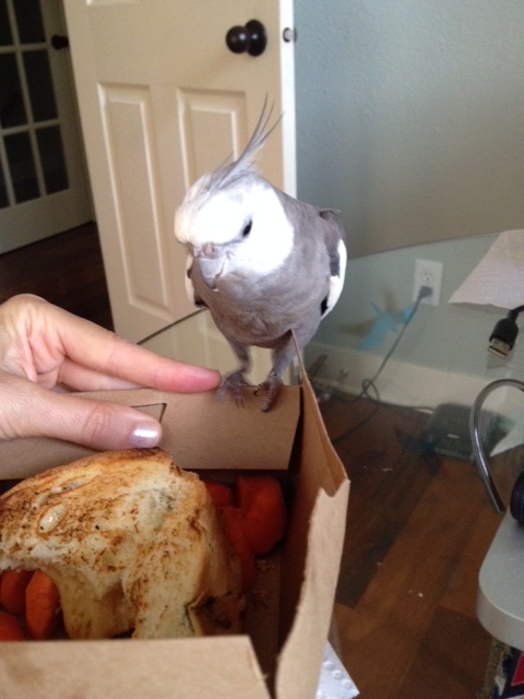 I spy grilled cheese - it must be the 4th of July!