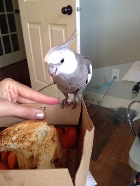 I will just let Mom know this one is mine by opening my beak.