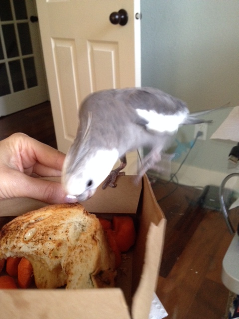 Almost there.....almost there....