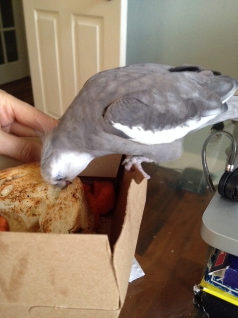 Let the liberating begin!