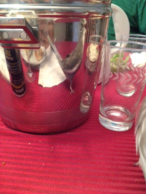 Whoa. Wait a minute. I think I see someone I know!