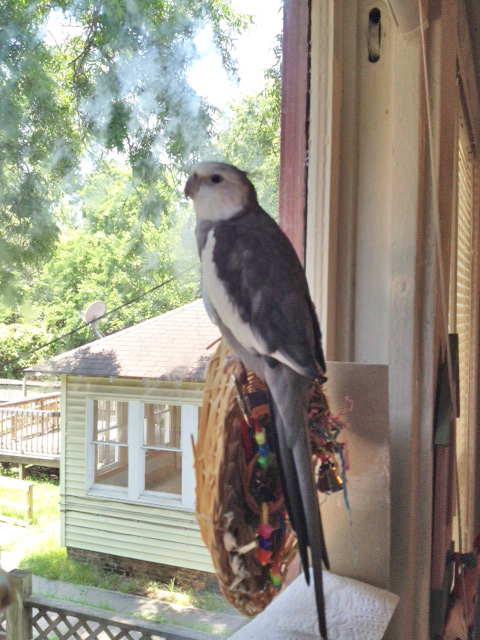 This is the best place to broadcast from to make sure the message is as loud as possible.