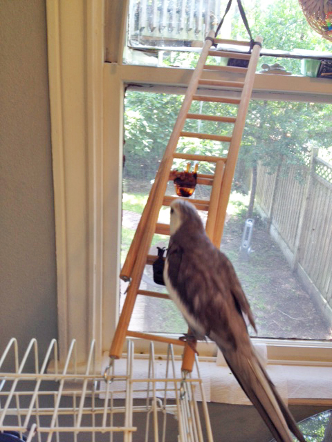 I will just head on up to the broadcasting platform.