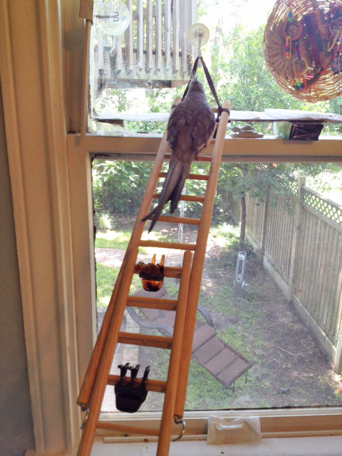 This message sounded urgent - I'd better hurry.