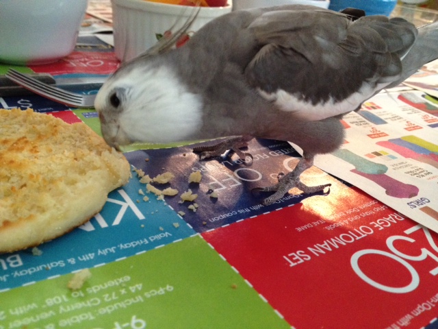 This looks delicious - and perfect for my upcoming demonstration.