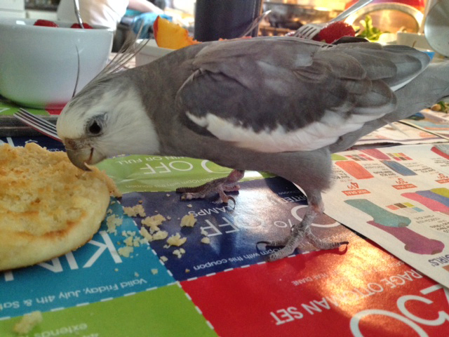 I'll just pose next to the delicacy so Mom can document the relative size of the diner versus the relative size of the dish.