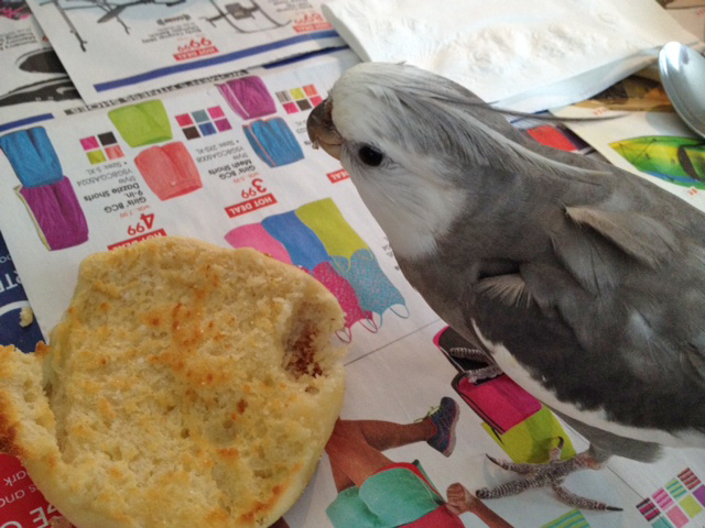 Now one more shot of diner vs. delicacy - that's good, Mom - right up close.