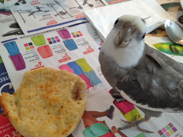 Now a shot for my admiring fans (who always believed in me).