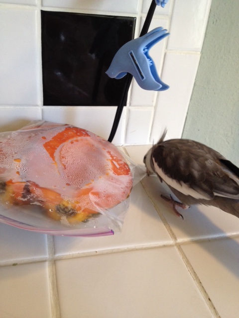 I've always especially enjoyed the crunchy, crinkly corners.