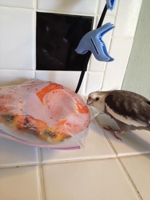 Well, Mom - I think I'm finally catching on to your strategy - I do catch just the subtlest hint of extra freshness in this bag. It must be coming from the orange thing.