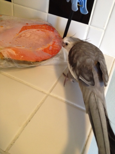 Looks like Mom's at it again - this time she's preserving my plastic bags with some kind of odd oval orange sweet thing.