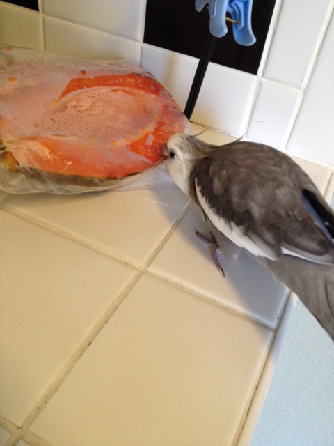 Oh yes - just as flavorful as I remembered.