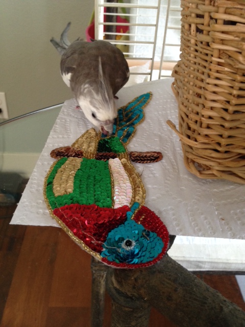 I'll just put it through its paces to ferret out the truth.