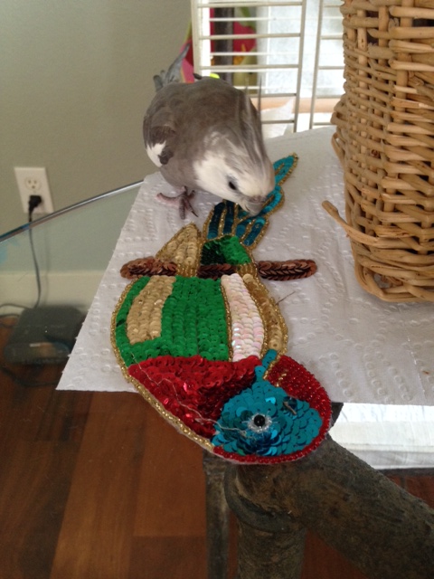 Boy. Something about this being sure seems familiar.