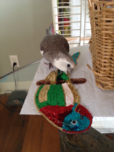 I'll just give it another nip or two and see what happens next.