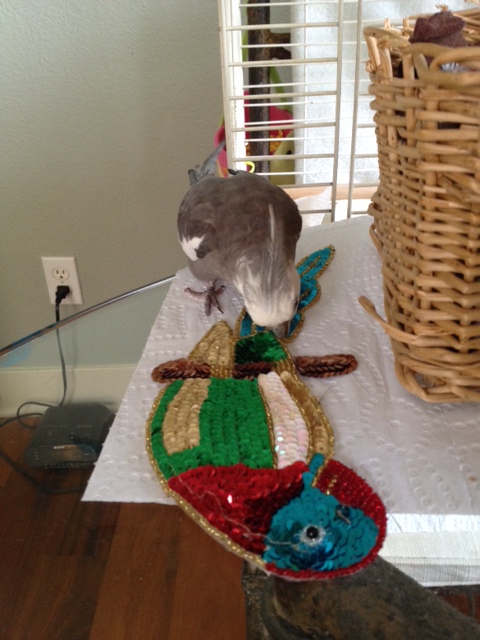 Gosh, this brown thing the being is perched on seems very familiar too.