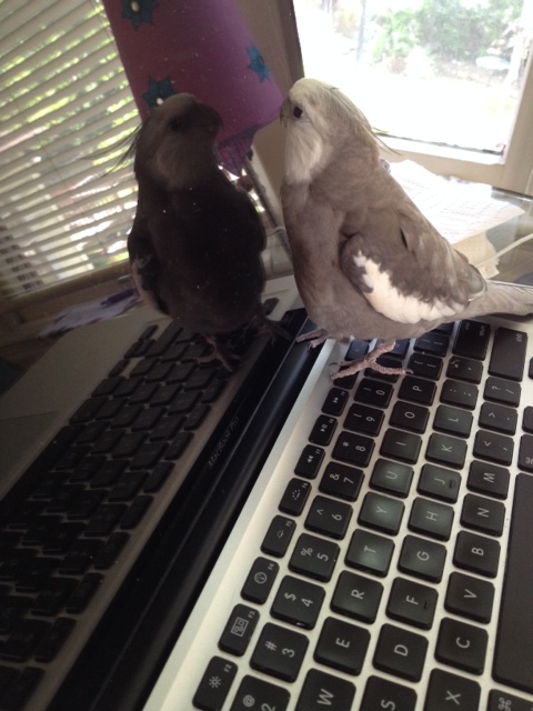 So far this is a great conversation. I'll just use "direct eye contact" to keep the dialogue flowing.