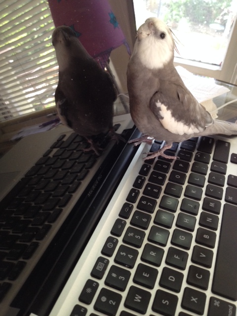 I am really enjoying this conversation so I'll throw in a bit more "welcoming body language."