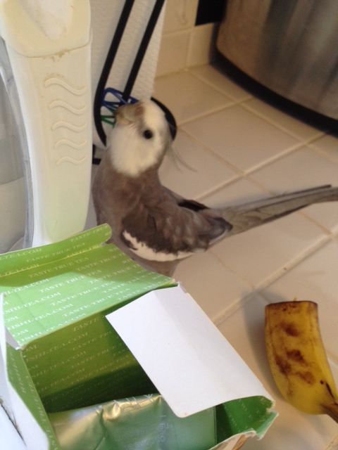 Uh oh. Looks like Mom's planning to make tea "her way" again.