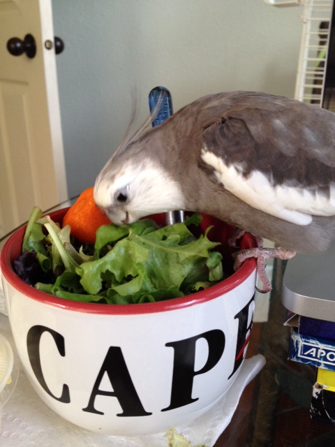 Pilfered greens are always the tastiest.