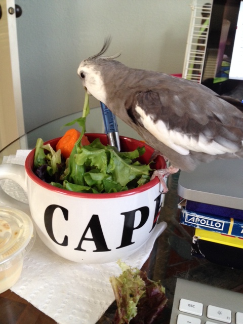 It's easier to enjoy them in peace once they've stopped struggling.