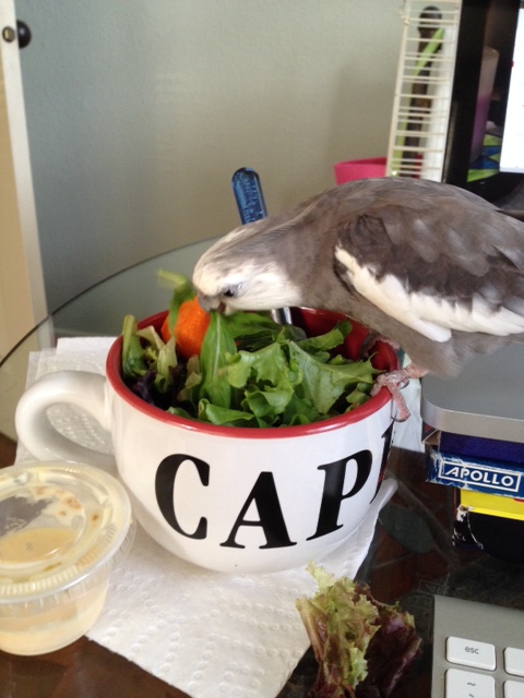 Now I'll dispatch this feisty green thing over here.