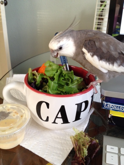 Where should I start?