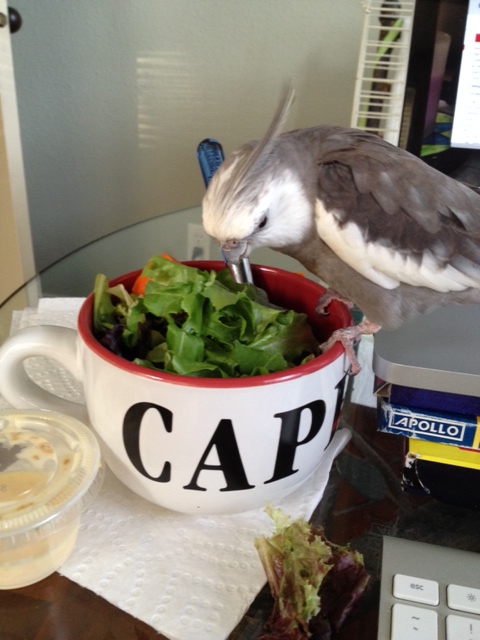 Well look what we have here. Someone else's portion of tasty green things.