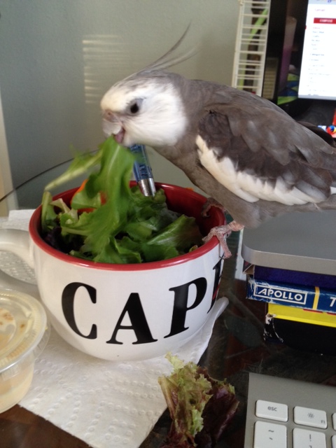 This green thing has a fine flavor too.