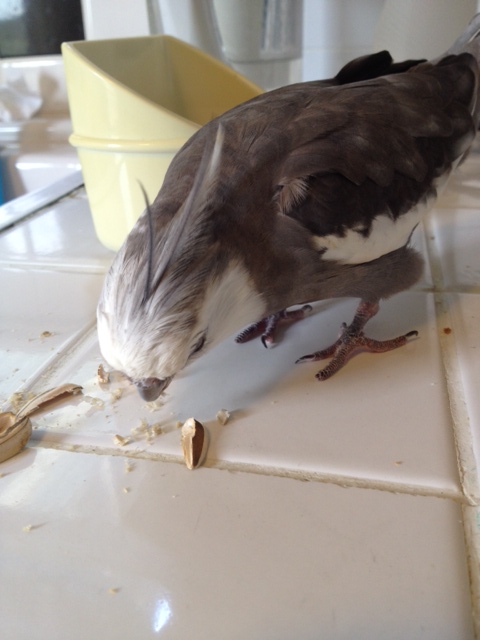 That's right - just stay right there. Now do you understand the rules as I have told them to you?