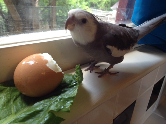 Wow! I can already tell this dish is going to be good by the lovely presentation.