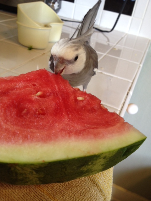 First just a nibble....just to confirm it is as tasty as I remember.