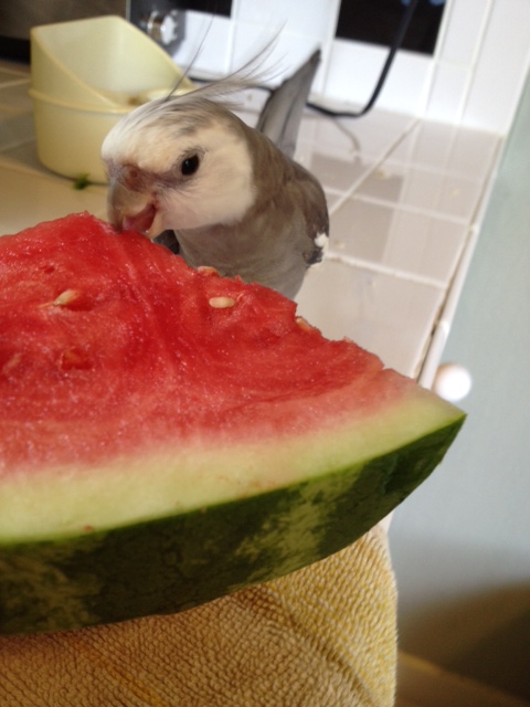 Yup. Quite tasty indeed!