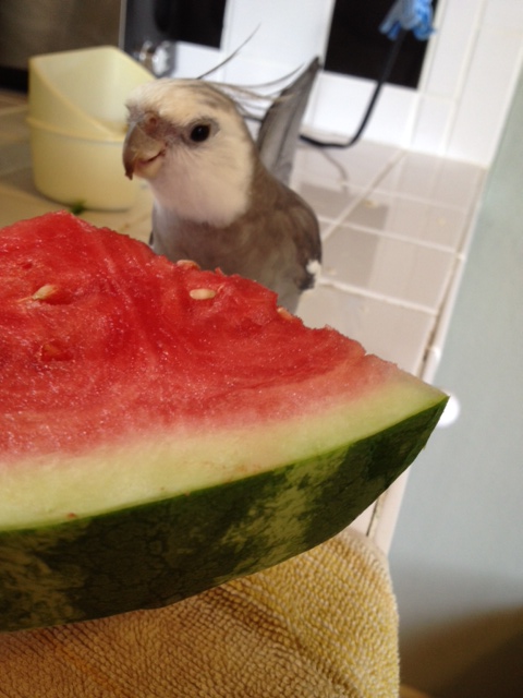 All for me? Wow - thanks Mom - I love this dish!