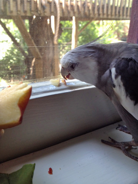 Now hold still and I'll just select which bits I want.