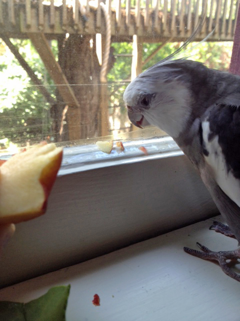 Hi prey. Consider yourself "brought down."