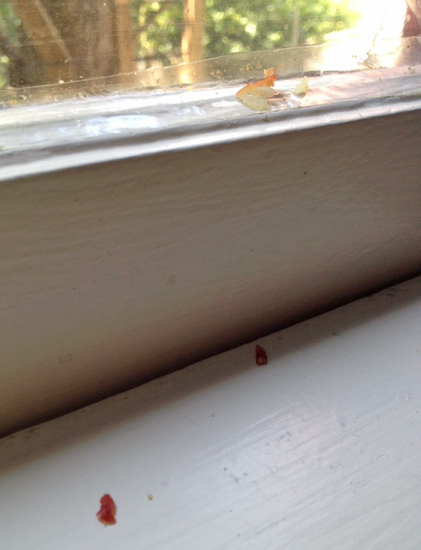 Here, Mom - I left all this for you!