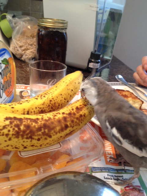 Yup - I'd know this flavor anywhere.