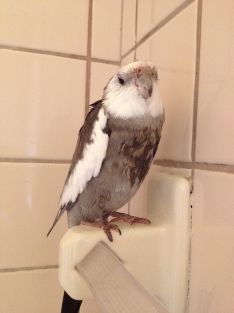 But watch what happens when a being begins to approach.