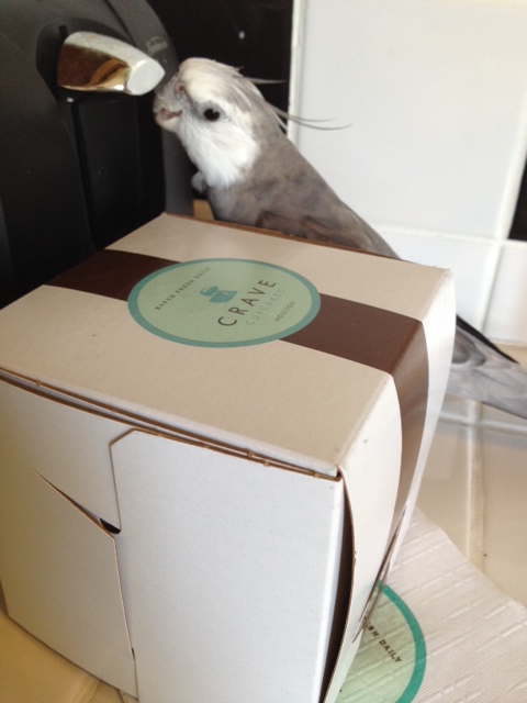 Scan the hostile takeout with a look of curiosity. You don't want it - you are just curious.