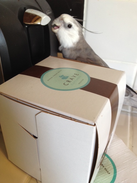 Finally (and this is only as a last resort) prepare to overcome the hostile takeout by force.