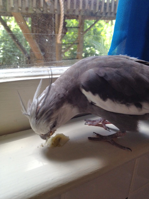 Flingable item, check.