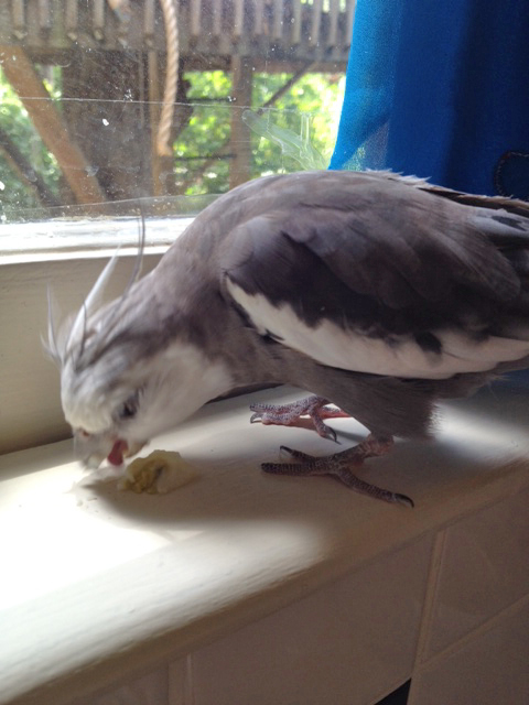 A little snack (for the road), check.