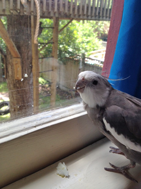At the end of each championship match, the press takes a photo of each contestant with their "flings."