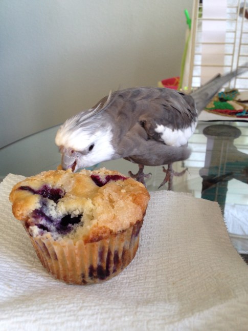 Now I need to decide if I want it.